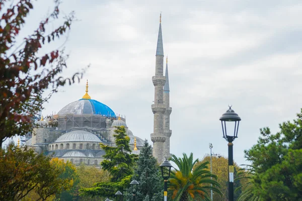 Istanbul, Türkiye: Minare ağaçların arasındaki Sultanahmet Camii. Istanbul Sultan Ahmet - Osmanlı devleti içinde en büyük Camii.