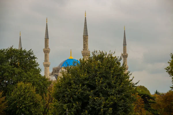 Istanbul Turkey Tourist Walking Blue Mosque Sultanahmet Park Biggest Mosque — Stock Photo, Image