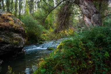 Kapadokya Ihlara Vadisi. Ihlara Vadisi, Peristrema manastır veya Ihlara Gorge geziler hiking için Türkiye'de en ünlü Vadisi var. Yeşil Tur.