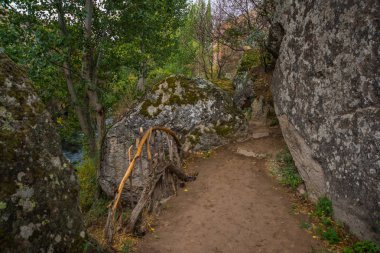 Türkiye'ye - Aksaray ili bahar Kapadokya Ihlara Vadisi eski gorge yeşil ağaçların seyahat.
