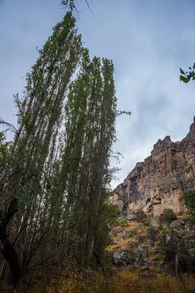 Resa Till Turkiet Gröna Träd Gamla Gorge Ihlara Valley Aksaray — Stockfoto