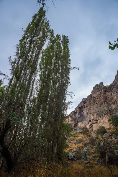 Travel Turkey Green Trees Old Gorge Ihlara Valley Aksaray Province — Stock Photo, Image