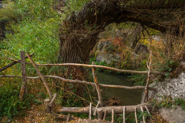 Viaje Turquía Árboles Verdes Antigua Garganta Del Valle Ihlara Provincia —  Fotos de Stock