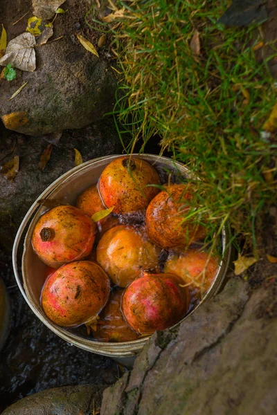 Grenades Sont Dans Seau Pour Faire Jus Frais Pour Les — Photo