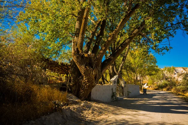 Región Goreme Capadocia Anatolia Turquía Camino Conduce Las Rocas Cerca — Foto de Stock