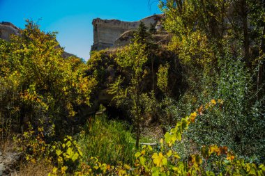 Zemi Vadisi, Göreme bölge, Cappadocia, Anadolu, Turkey: güzel manzara ve yaz mavi gökyüzünde kayaya görünümünü.