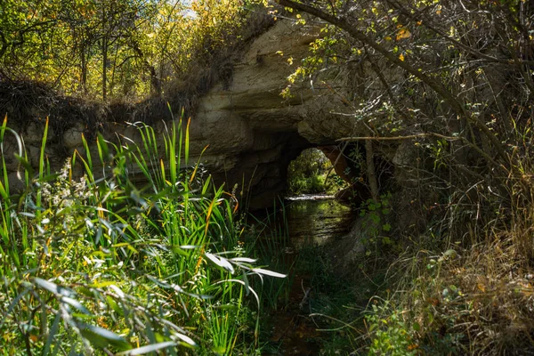 Planté Avec Étang Herbe Entre Les Rochers Vallée Été Vallée — Photo