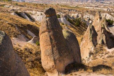 Bir at gibi şeklinde alışılmadık bir kaya. Göreme Milli Parkı, Cappadocia, Anadolu, Turkey.
