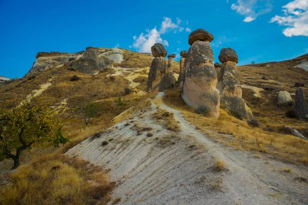 Road Leads Fabulous Mushroom Rocks Beautiful Landscape Unusual Mountains Fairy — Stock Photo, Image