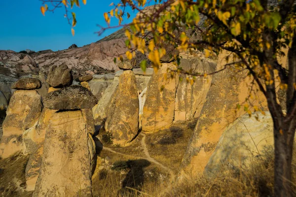 Rochers Forme Champignons Fabuleux Insolites Montagnes Cheminées Fées Pasabag Monks — Photo