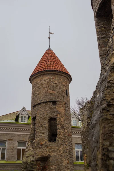 Tallinn Estónia Famoso Marco Viru Gate Iluminação Rua Noite Natal — Fotografia de Stock