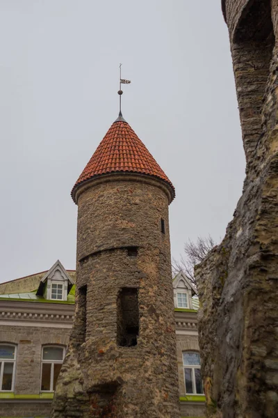 Tallinn Estonia Famous Landmark Viru Gate Street Lighting Evening Christmas — Stock Photo, Image