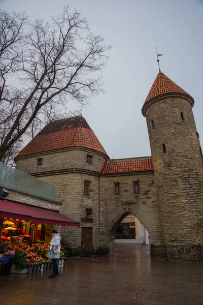 Tallin Estonia Famoso Hito Viru Gate Alumbrado Público Noche Navidad — Foto de Stock