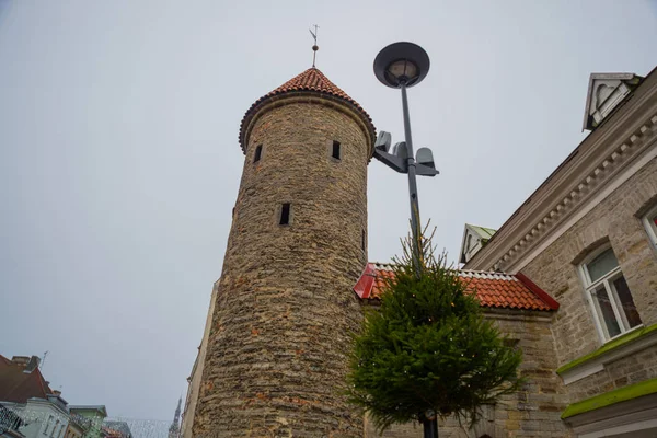 Tallinn Estland Berömda Landmärken Såsom Viru Gate Gatubelysning Kvällen Jul — Stockfoto