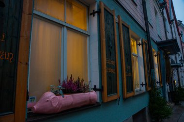 Pembe bir domuz şeklinde saksıyı. Eski Şehir caddede. Estonya sermaye, Tallinn, Estonya