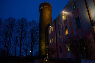 Uzun boylu Hermann Kulesi ve Parlamento Binası. Toompea, valiler Bahçe, Tallinn, Estonya. Güzel gece sahne aydınlatma ile
