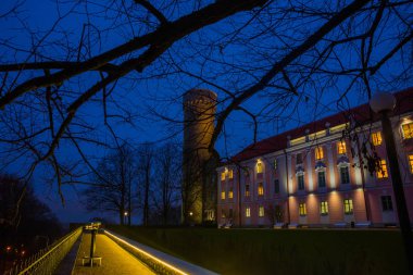Uzun boylu Hermann Kulesi ve Parlamento Binası. Toompea, valiler Bahçe, Tallinn, Estonya. Güzel gece sahne aydınlatma ile