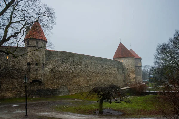 Średniowieczna Twierdza Wież Starym Mieście Tallinn Estonia Wieże Mają Czerwoną — Zdjęcie stockowe