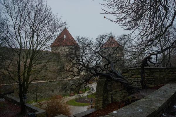 旧市街の塔と中世の要塞 タリン エストニア 塔には 赤瓦屋根があります 曇りの天気で秋の風景 — ストック写真