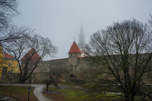 Silhouette Mist Nicholas Church Medieval Fortress Towers Old Town Tallinn — Stock Photo, Image