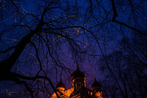 Tallinn Estonie Paysage Nocturne Avec Éclairage Vue Cathédrale Alexandre Nevsky — Photo