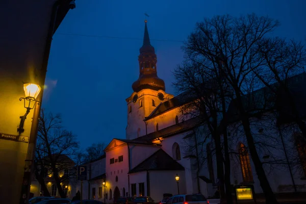 Ночной Пейзаж Освещением Собор Святой Марии Богородицы Холме Тоомпеа Таллинне Стоковое Фото