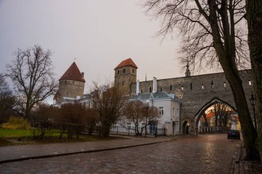 Eski Şehir kuleli ortaçağ kalesi. Tallinn, Estonya. Kuleler kırmızı kiremitli çatı var. Bulutlu havalarda sonbahar manzara.