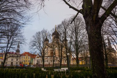 Tallinn, Estonya. Alexander Nevsky Katedrali manzarası. Ünlü Ortodoks Katedrali Tallinn'ın en büyük ve görkemli Ortodoks kubbe katedral olduğunu. Popüler Landmark. UNESCO Dünya Miras Listesi