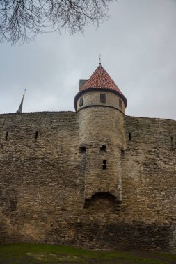 Eski kale duvarı eski şehir, Tallinn, Estonya.