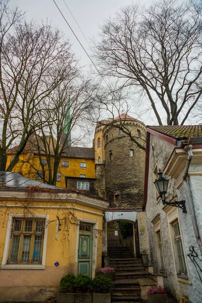 Tallinn Capital Estonia Autumn Landscape View Church Olaf Old Fortress — Stock Photo, Image