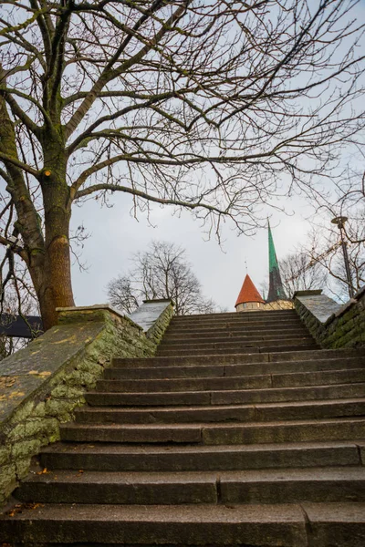 Tallinn 자본의 에스토니아 이어질 세인트 교회와 함께을 — 스톡 사진