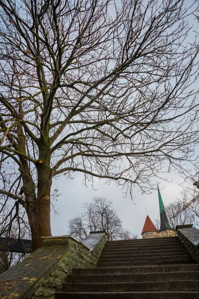 Tallinn 자본의 에스토니아 이어질 세인트 교회와 함께을 — 스톡 사진