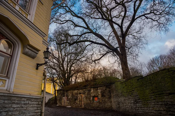 美丽的街道与门面的房子在爱沙尼亚的首都 老城区 爱沙尼亚语 — 图库照片
