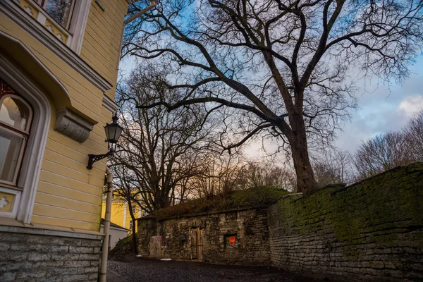 Hermosa Calle Con Fachadas Casas Capital Estonia Casco Antiguo Estonia —  Fotos de Stock