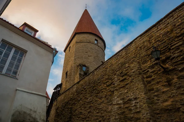 Medieval Fortress Towers Old Town Tallinn Estonia Towers Have Red — Stock Photo, Image