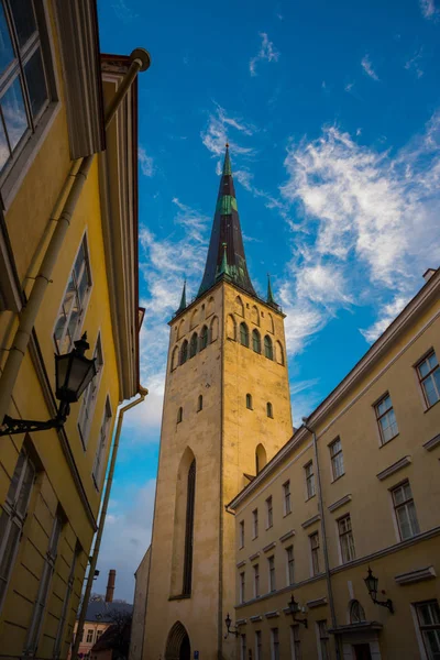 Tallinn Észtország Gyönyörű Templom Szent Olaf Utca Régi Város Torony — Stock Fotó