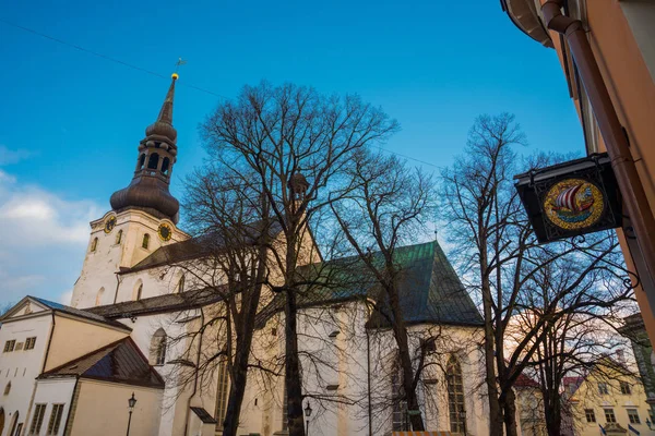 Kopuła Kościoła Katedra Najświętszej Marii Panny Wzgórzu Toompea Tallin Estonia — Zdjęcie stockowe