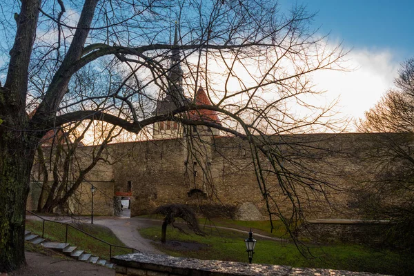 Fortaleza Medieval Com Torres Cidade Velha Tallinn Estónia Torres Têm — Fotografia de Stock