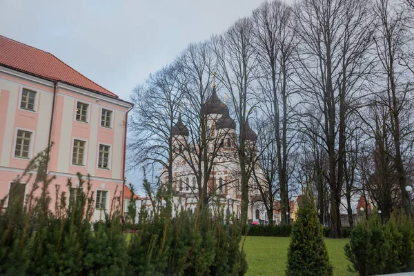 Tallinn Estonsko Pohled Katedrála Alexandra Něvského Známá Pravoslavná Katedrála Tallinn — Stock fotografie