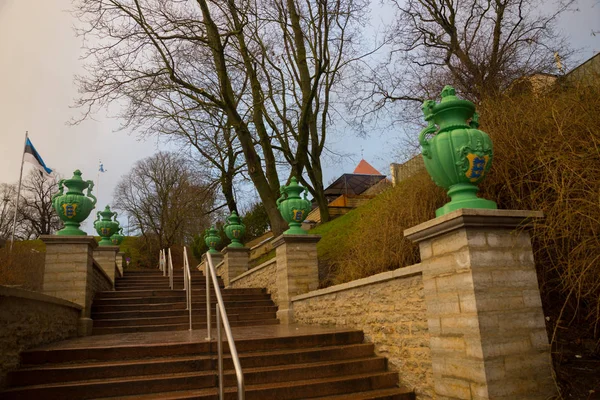 Tallinn Estónia Escadaria Com Degraus Belos Vasos Decorativos Verdes Leva — Fotografia de Stock