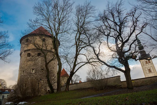 Tallinn Estonya Aziz Nicholas Kilisesi Niguliste Kırık Kiek Kok Müzesi — Stok fotoğraf