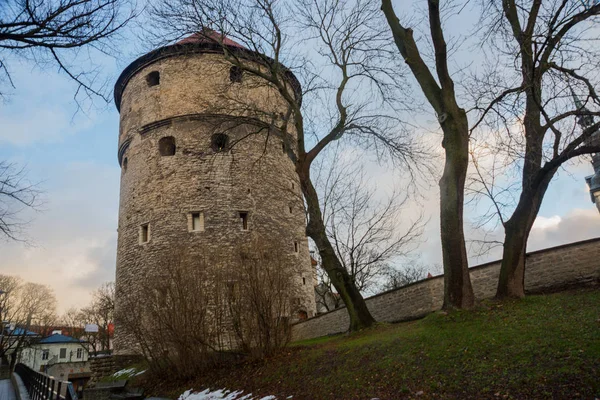 タリン エストニア お部屋を全室 コック博物館と中世タリン防御的な城壁で要塞のトンネルに ユネスコ世界遺産 エストニアの首都で人気のある観光地 — ストック写真