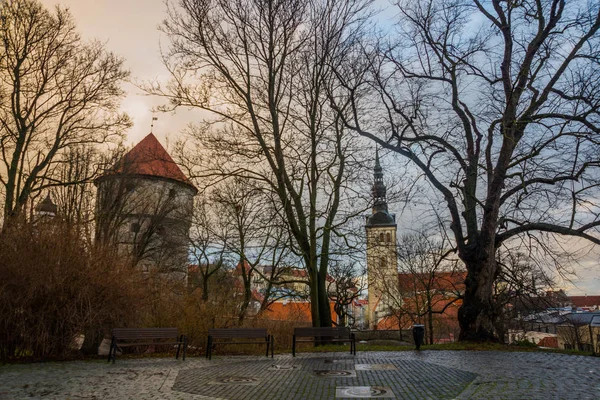 Tallinn Estonia Nicholas Church Niguliste Kirik Кок Музее Кока Бастион — стоковое фото