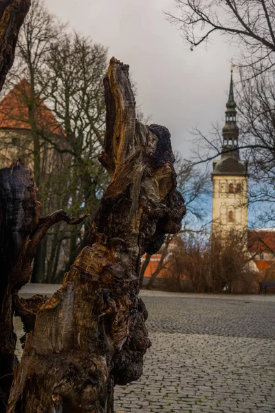 Tallinn Estonsko Kostel Svatého Mikuláše Kostel Niguliste Niguliste Kirik Starý — Stock fotografie