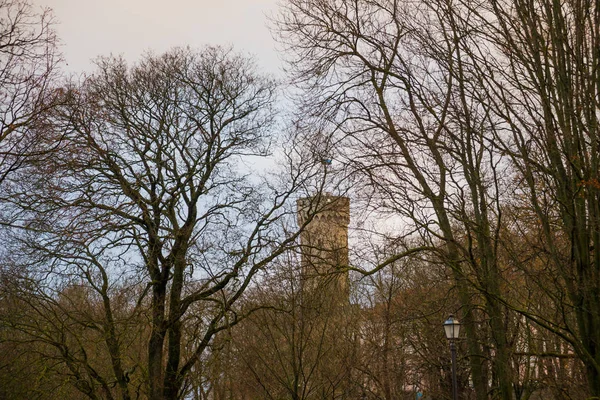 Torre Tall Hermann Palazzo Del Parlamento Toompea Giardino Dei Governatori — Foto Stock