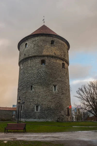 タリン エストニア お部屋を全室 コック博物館と中世タリン防御的な城壁で要塞のトンネルに ユネスコ世界遺産 エストニアの首都で人気のある観光地 — ストック写真
