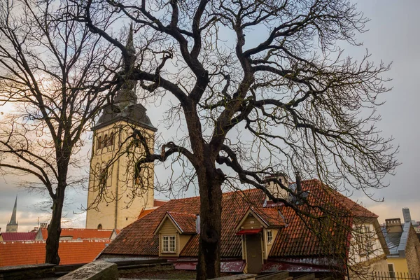 Tallinn Estonia Nicholas Church Niguliste Church Niguliste Kirik Церковь Основана — стоковое фото