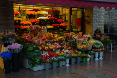 Tallinn, Estonya. Tallinns eski şehrin ortasında güzel çiçekler.