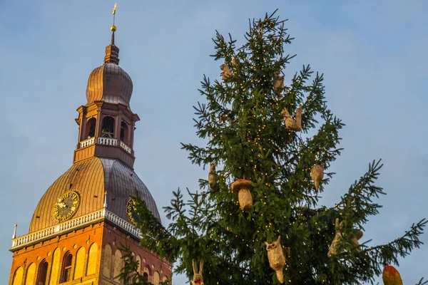 Złoty Kogucik Wieży Zegar Katedra Rydze Placu Dome Historyczne Centrum — Zdjęcie stockowe