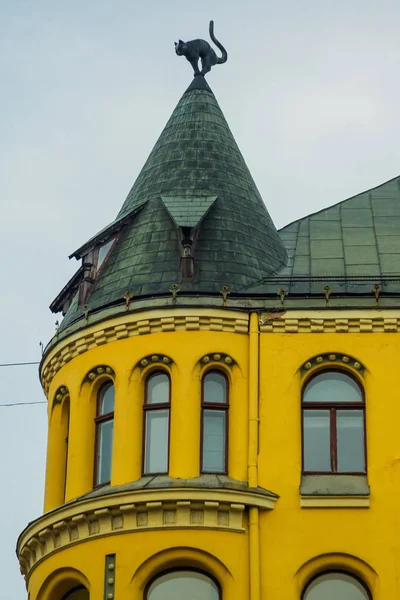 屋顶上的黑猫雕像 拉脱维亚里加市中心的猫屋详情 — 图库照片